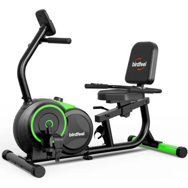 Recumbent Exercise Bike
